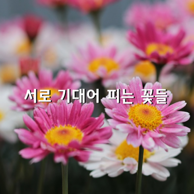 서로 기대어 피는 꽃들! / 김인숙