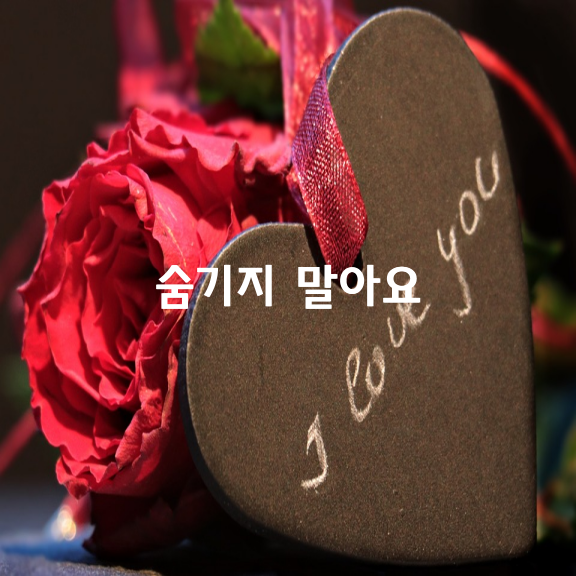 서로의 마음을 숨기지 말아요