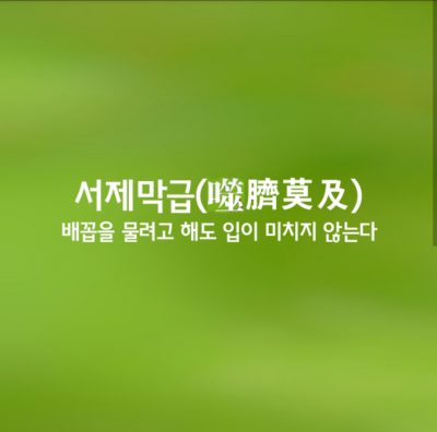 서제막급ㅣ噬臍莫及