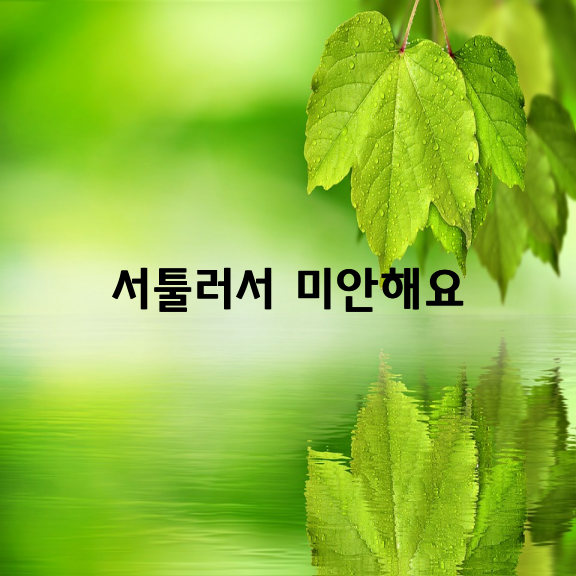 서툴러서 미안해요 / 레이지 피그