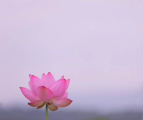 선을 지켜야 한다