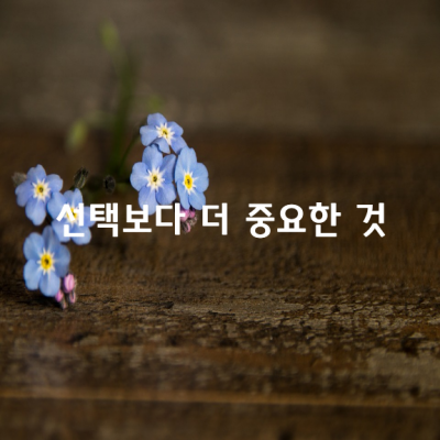 선택보다 더 중요한 것