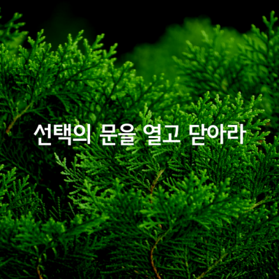 선택의 문을 열고 닫아라