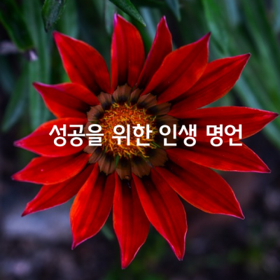 성공을 위한 인생 명언