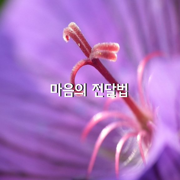 성공한 사람들을 보면,