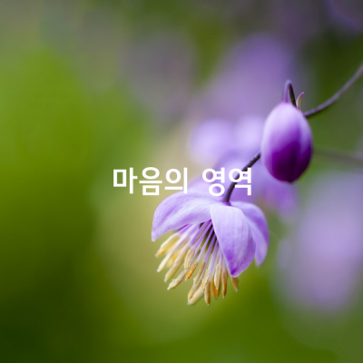 세상에서 가장 멋진 치킨