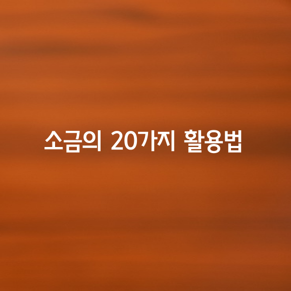 소금의 20가지 활용법