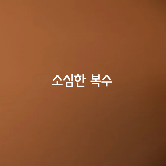 소심한 복수