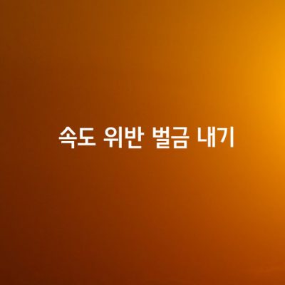 속도위반 벌금 내기