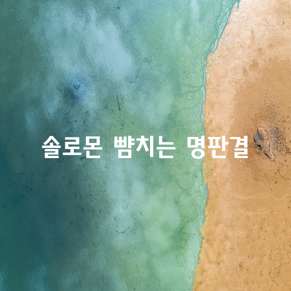 솔로몬 뺨치는 명판사의 명판결