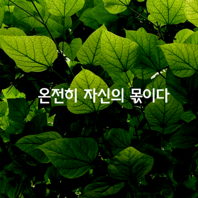 시간은 단 한 번도 같은 적이 없었다.