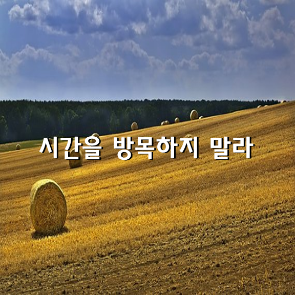 시간을 방목하지 말라