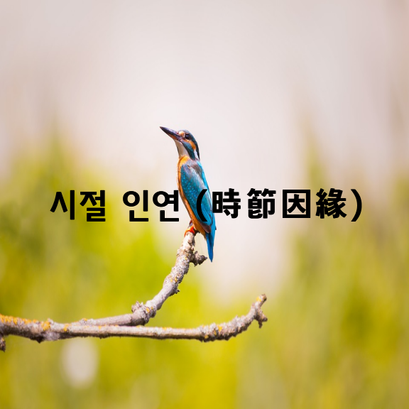 시절 인연 (時節因緣)