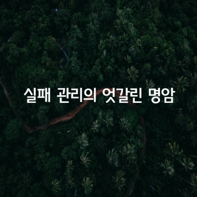 실패 관리의 엇갈린 명암