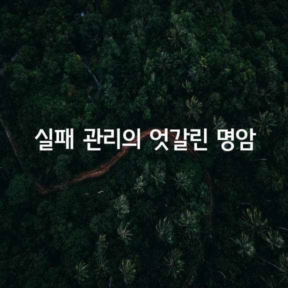 실패 관리의 엇갈린 명암