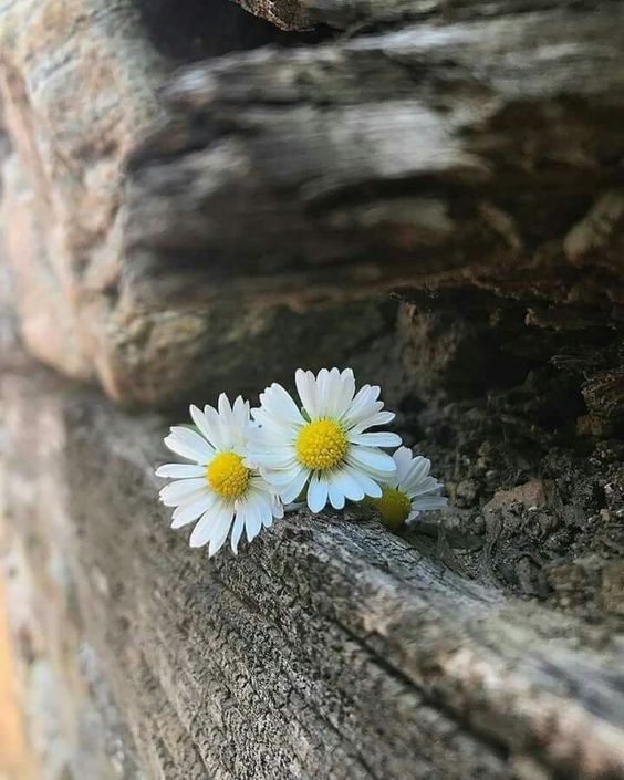 아둥바둥 살지 말아요