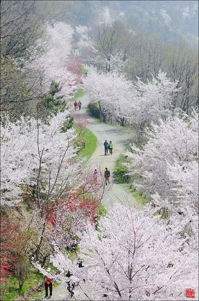 아름다운 그 이름 친구에게  