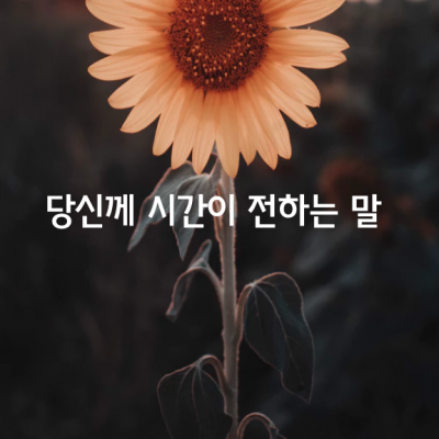 아름다운 당신께 시간이 전하는 말