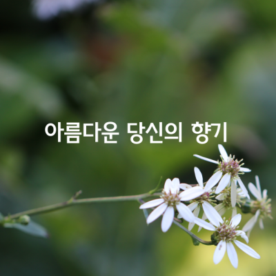 아름다운 당신의 향기