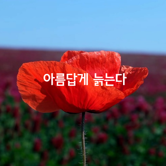 아름답게 늙는다