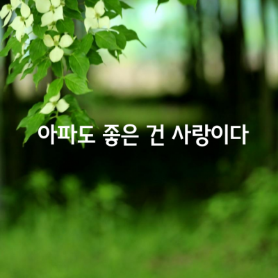 아파도 좋은 건 사랑이다