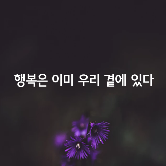 안 팔아