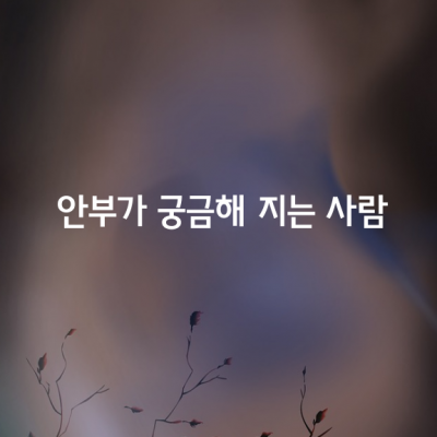 안부가 궁금해 지는 사람