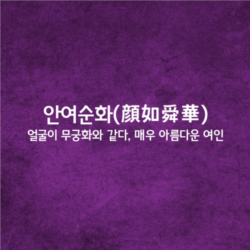 안여순화ㅣ顔如舜華