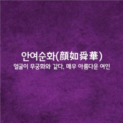 안여순화ㅣ顔如舜華