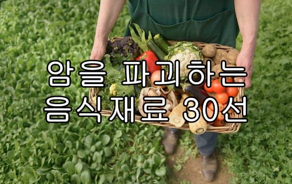 암을 파괴하는 음식재료 30선