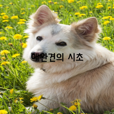 애완견의 시초