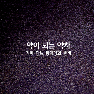 약이 되는 약차 – 기미, 당뇨, 동맥경화, 변비