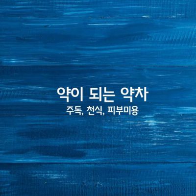 약이 되는 약차 – 주독, 천식, 피부미용