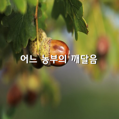 어느 농부의 깨달음