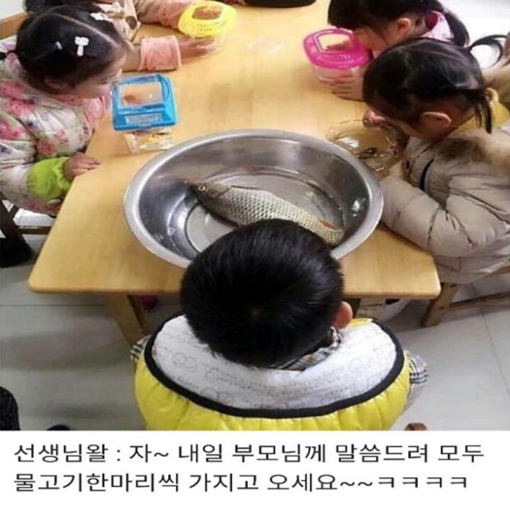 어느 어린이집 생물 수업중..