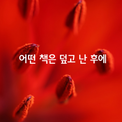 어떤 책은 덮고 난 후에