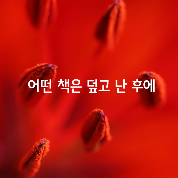 어떤 책은 덮고 난 후에