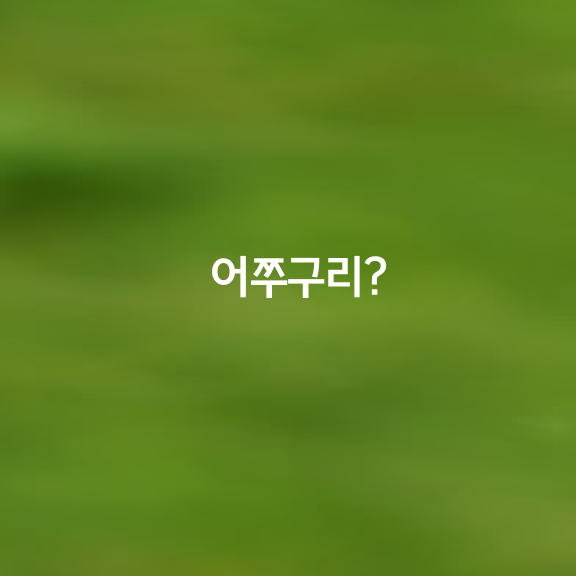 어쭈구리?