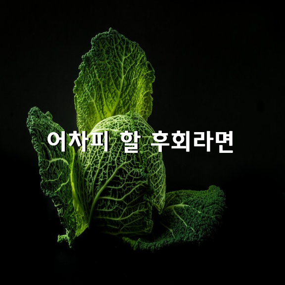 어차피 할 후회라면