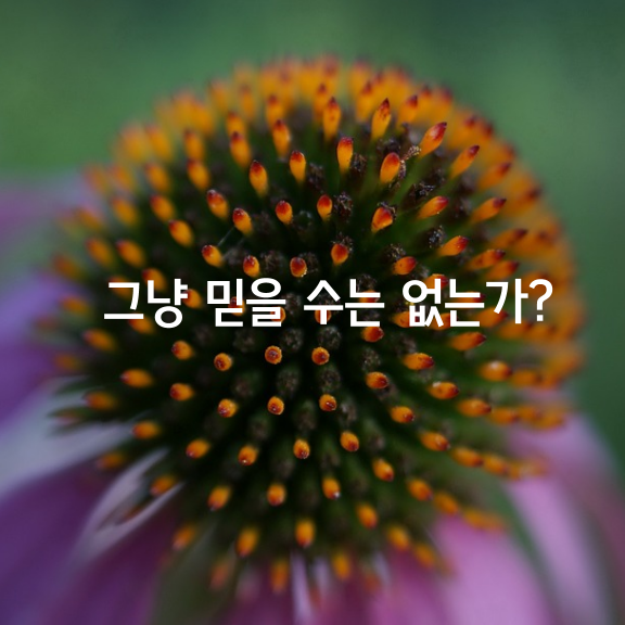 엄마는 어린 딸을 고아원에 보냈다. 딸은 오랜 세월 동안 엄마를 원망했고, 아무리 생각해도 자기를 버린 것을 용서할 수 없었다. 딸은 시각장애인이었다. 앞을 못 보는 딸인 자신을 보기 싫어 버렸다는 생각에 평생 짓눌려 살았다.