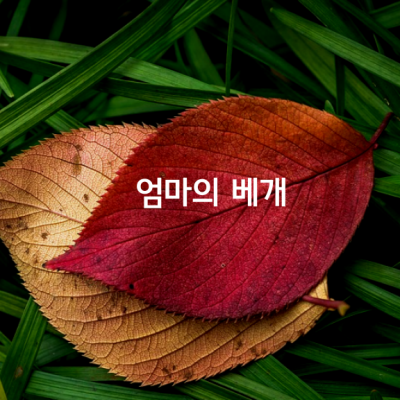 엄마의 베개