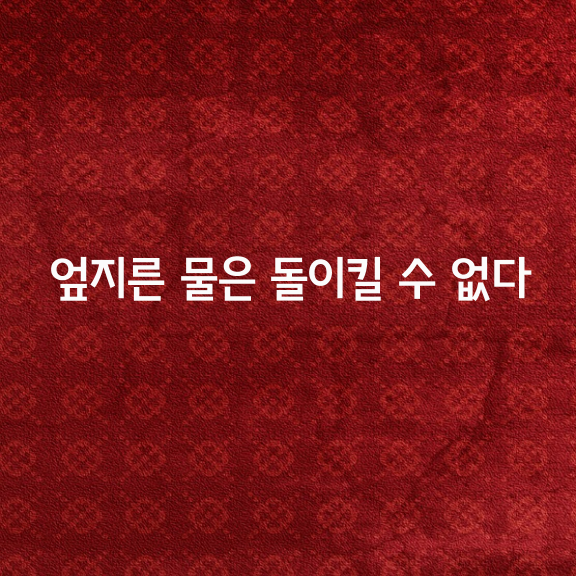 엎지른 물은 돌이켜 담을 수 없다