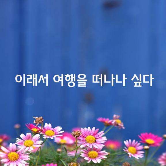 여행은 지나간 시간을 추억하고