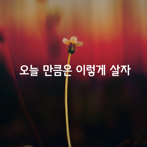 오늘 만큼은 이렇게 살자