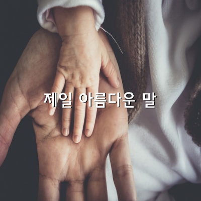 오늘 밤에는 누군가의 가슴을 살포시 덮어 줄 수 있는 따스한 이불이 되어보세요.