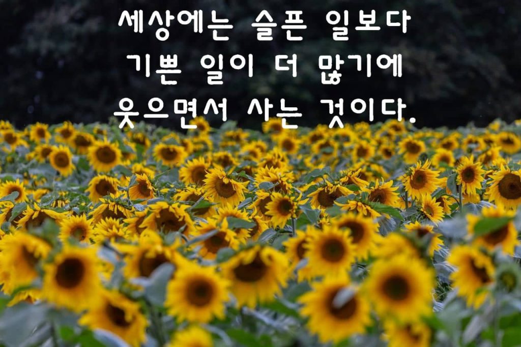 오늘도 예쁜 마음으로! 