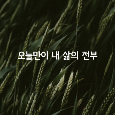 오늘만이 내 삶의 전부