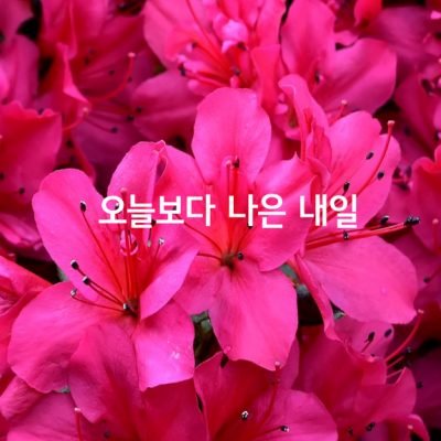 오늘보다 나은 내일이 기다립니다