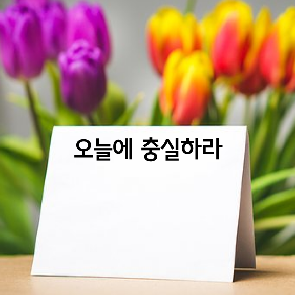 오늘에 충실하라