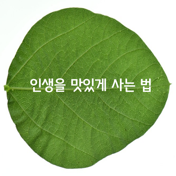 오늘은 오늘을 살아갈 힘만